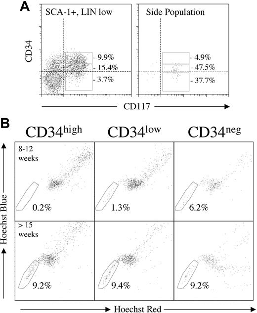 Figure 5. SP analysis of subsets defined by CD34 expression intensity. Analysis of a representative (8-12 weeks) murine marrow Hoechst stained and labeled for Lin, SCA-1, CD117, and CD34. Linneg/SCA-1+/CD117+ cells (KLS) were divided into subsets of CD34 high, low, and negative intensity (A). Provided for comparison is a CD117/CD34 plot of the SP fraction from the same experiment with the same CD34 high, low, and negative gates. Dotted lines on both plots indicate the level of matched-isotype control. Most SP cells were CD34low or CD34neg in mice 8 to 12 weeks of age (B, upper row). In contrast, significant numbers of KLS+/CD34high were only seen in the older (> 15 weeks) mice. Most interestingly, in all 3 older mice analyzed, the KLS+/CD34neg subset was associated with the cells which most efficiently effluxed the Hoechst dye (B, lower panel).