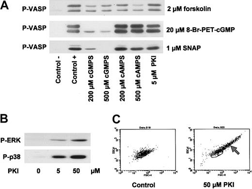 Figure 6. Inhibition of cAK and cGK by cyclic nucleotide analogs. (A) Inhibition of VASP phosphorylation by inhibitors of cAK and cGK. Washed platelets (3 × 108/mL) were preincubated with 200 μM and 500 μM Rp-8-Br-Pet-cGMPS (cGMPS) and Rp-8-Br-cAMPS (cAMPS), respectively, and 5 μM myristoylated PKI for 10 minutes. Then, cells were incubated with 2 μM forskolin (2 minutes), 1 μM SNAP (5 minutes), or 20 μM 8-Br-PET-cGMP (10 minutes). VASP phosphorylation was detected by immunoblotting. (B) Activation of MAP kinases by PKI. Washed platelets (3 × 108/mL) were incubated with 5 μM or 50 μM myristoylated PKI for 12 minutes. Phosphorylation of ERK (P-ERK) and p38 (P-p38) was detected by immunoblotting. Data shown are representative of at least 3 independent experiments. (C) FACS analysis of PKI-stimulated platelets. Washed platelets (3 × 108/mL) were incubated with myristoylated PKI for 12 minutes and then analyzed by flow cytometry. Forward scatter (FSC-H) and side scatter (SSC-H) distributions of resting platelets (left panel) and platelets preincubated with 50 μM PKI (right panel) are shown. Note the scatter change of PKI-incubated platelets indicating the formation of platelet aggregates (arrow). Data shown are representative of 3 independent experiments.