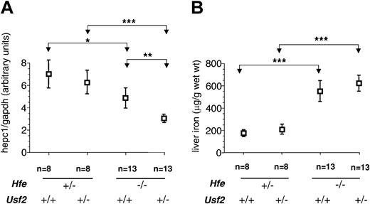 Figure 1. Hepc1 quantification and nonheme iron concentration in livers of 4-week-old mice. Hepc1 amount was quantified by real-time PCR and normalized to the amount of gapdh as described in “Study design.” Results are expressed as mean ± SD for n animals. *P < .01; **P < .001; ***P < .0001. The Kruskal-Wallis test was P < .0001 (mean rank: Hfe-/-Usf2+/-, 10.75; Hfe-/-Usf2+/+, 21.35; Hfe+/-Usf2+/-, 30.50; Hfe+/-Usf2+/+, 34.25). (B) Nonheme iron concentrations in liver samples from 4-week old mice with different Hfe and Usf2 genotypes. Iron content was measured in 2 pieces of liver for each mouse. Results are expressed as mean ± SD for n animals. The Kruskal-Wallis test was P < .0001 (mean rank: Hfe-/-Usf2+/-, 30.29; Hfe-/-Usf2+/+, 29.70; Hfe+/-Usf2+/-, 11.50; Hfe+/-Usf2+/+, 5.50).