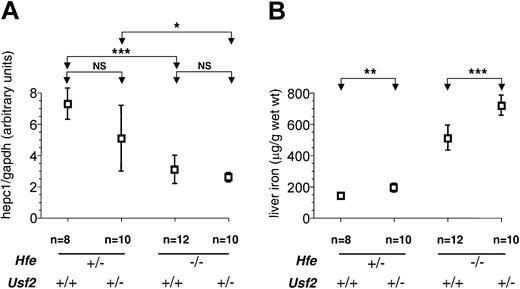 Figure 2. Hepc1 quantification and nonheme iron concentration in livers of 8-week-old mice. Hepc1 quantification (A) and nonheme iron concentration (B) are as in Figure 1 but in liver samples from 8-week-old mice. Results are expressed as mean ± SD for n animals (NS indicates nonsignificant). Results in panel B were normalized according to the sex. The sex ratio (female-male) for hepatic iron was 1.44 for Hfe-/-Usf2+/- mice, 1.45 for Hfe-/-Usf2+/+ mice, 1.28 for Hfe+/-Usf2+/- mice, and 1.24 for Hfe+/-Usf2+/+ mice. The Kruskal-Wallis test for hepc1 quantification was P < .01 (mean rank: Hfe-/-Usf2+/-, 11.55; Hfe-/-Usf2+/+, 13.67; Hfe+/-Usf2+/-, 23.64; Hfe+/-Usf2+/+, 31.57) and for nonheme iron concentration P < .0001 (mean rank: Hfe-/-Usf2+/-, 29.80; Hfe-/-Usf2+/+, 21.92; Hfe+/-Usf2+/-, 10.71; Hfe+/-Usf2+/+, 4.29). *P < .01; **P < .001; ***P < .0001.
