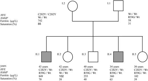 Figure 3. Family tree of the pC282Y/pR59G proband. Wt indicates wild-type allele; grey square or circle, patients with a HH phenotype; SF, serum ferritin; and TS, transferrin saturation.
