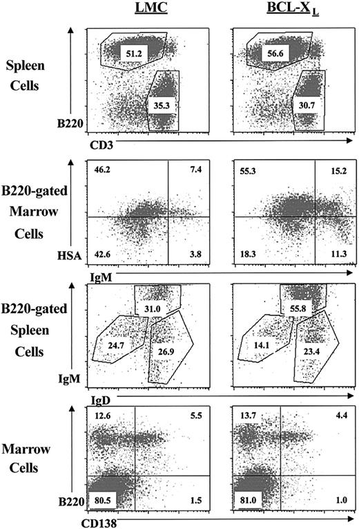 Figure 2. Immunophenotypic analysis of lymphocytes in the transgenic and littermate control mice.