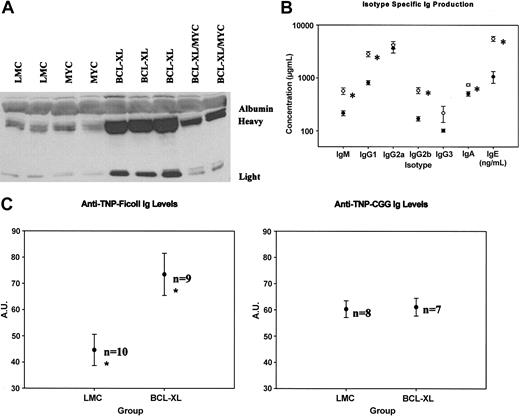 Figure 3. Serum analysis of the transgenic mice. (A) Western blot analysis of serum from representative mice. (B) ELISAs of serum to measure concentration of individual immunoglobulin isotypes in 3′KE/Bcl-XL (○; n = 12) and LMC (•; n = 9) mice. (C) TNP-Ficoll- and TNP-CGG-specific immunoglobulin levels in 3′KE/Bcl-XL and LMC mice. A.U. indicates arbitrary units. Error bars indicate ± SEM. *P < .05.