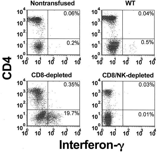 Figure 3. Flow cytometric analysis of intracellular IFN-γ in CD4-labeled T cells in the peripheral blood from nontransfused, WT, CD8-depleted, and CD8/NK-depleted recipient mice. The data shown are representative of all mice in each group.