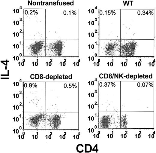 Figure 4. Flow cytometric analysis of intracellular IL-4 in CD4-labeled T cells in the peripheral blood from nontransfused, WT, CD8-depleted, and CD8/NK-depleted recipient mice. The data shown are representative of all mice in each group.
