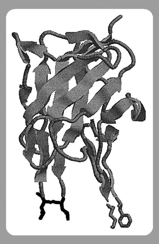 graphic