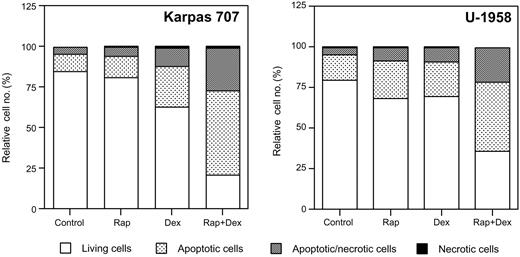 Figure 2. The effect of rapamycin and dexamethasone on apoptosis in 2 MM cell lines. Karpas 707 and U-1958 cells were treated with rapamycin and/or dexamethasone for 48 hours followed by harvest and wash in PBS before staining with AV/PI and subsequent analysis by flow cytometry. Cells were categorized as living cells (AV-negative/PI-negative), apoptotic cells (AV-positive/PI-negative), apoptotic/necrotic cells (AV-positive/PI-positive), or necrotic cells (AV-negative/PI-positive), and the relative cell number was presented as the percentage of 10 000 cells. Three independent experiments per cell line were performed and one representative is shown.