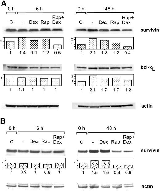 Figure 6. The effect of rapamycin and dexamethasone on the expression of survivin and bcl-xL (A) Karpas 707 cells were treated with rapamycin and/or dexamethasone for 6 and 48 hours. The cells were lysed, and extracts were subjected to analysis by Western blotting using antibodies specific for the antiapoptotic proteins survivin and bcl-xL. The expression was quantified and expressed as compared with control. (B) U-1958 cells were treated with rapamycin and/or dexamethasone for 6 and 48 hours. The cells were lysed, and extracts were subjected to analysis by Western blotting using antibodies specific for the antiapoptotic protein survivin.