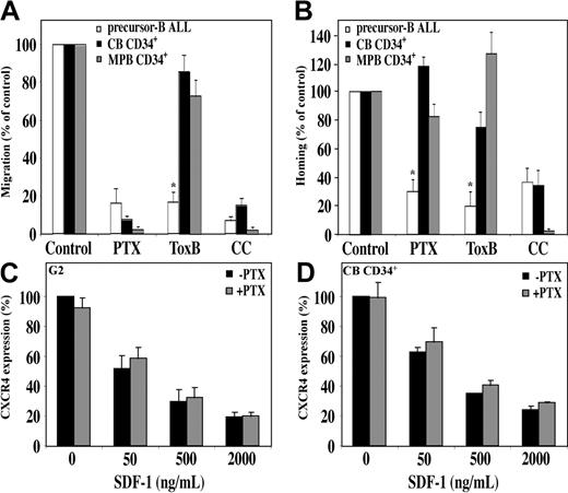 Figure 5. SDF-1/CXCR4 interactions activate different signaling pathways in migration and homing of precursor-B ALL and CD34+ cells. Migration and homing of cells following pretreatment with pertussis toxin (PTX; 100 ng/mL, 2 hours, 37°C), Toxin B (ToxB; 100 ng/mL, 20 hours, 37°C), or chelerythrine chloride (CC; 10 μM, 30-60 minutes, 37°C) were tested. (A) Results show average percentage ± SE of in vitro migration of pretreated human precursor-B ALL, CB CD34+, and MPB CD34+ cells compared with control untreated cells (= 100%). Results of migration of precursor-B ALL cells represent average of G2, BRE, and Nalm-6 cells (at least 3 experiments for each cell line). (B) Results show percentage of homing of pretreated human precursor-B ALL, CB, and MPB CD34+ cells to the BM 16 hours after transplantation compared with control untreated cells (= 100%). Results represent average ± SE of cell lines G2, B-1, and A-1, as well as cells from patient nos. 1, 2, 3, 4, and 6. Cell viability was greater than 90% before injection. *P < .05 in comparison of precursor-B ALL with normal CD34+ cells for each treatment. G2 cells (C) or CB CD34+ cells (D) were incubated with or without PTX (100 ng/mL) for 2 hours and then stimulated with increasing concentrations of SDF-1. Surface expression of CXCR4 was determined by flow cytometry. Results show average of 3 independent experiments compared with control cells not stimulated with SDF-1 (= 100%).
