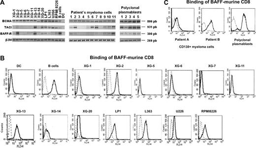 Figure 1. Expression of BCMA, TACI, and BAFF-R in myeloma cells and normal plasmablasts. (A) Expression of BCMA, TACI, and BAFF-R mRNA was analyzed by RT-PCR in 13 HMCLs, in CD138+ purified primary myeloma cells from 6 patients with intramedullary MM (patients 1-6), and 5 patients with plasma cell leukemia (patients 7-11), and in 5 normal in vitro–generated polyclonal plasmablastic cells (PPCs). B cells and dendritic cells (DCs) were used as positive and negative controls, respectively. (B) Cell-surface expression of receptors for BAFF by HMCLs was determined by flow cytometry using a biotinylated human BAFF–murine CD8 fusion protein and phycoerythrin-conjugated streptavidin. (C) Cell-surface expression of receptors for BAFF by primary myeloma cells and PPCs was determined by flow cytometry using a biotinylated human BAFF–murine CD8 fusion protein and phycoerythrin-conjugated streptavidin. Broken lines indicate Ig control; and solid lines, BAFF-mu CD8.