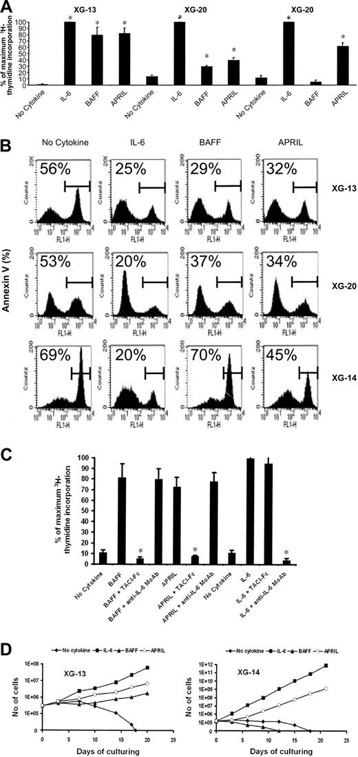 Figure 3. BAFF and APRIL protect HMCLs from IL-6 deprivation–induced apoptosis. (A) XG-13, XG-14, and XG-20 were IL-6 starved for 3 hours and cultured without cytokine, or in the presence of BAFF (200 ng/mL), APRIL (200 ng/mL), or IL-6 (3 ng/mL). Results are the mean values plus or minus standard deviation (SD) of the tritiated thymidine incorporation determined on sextuplet culture wells and are expressed as the percentage of the proliferation obtained with IL-6. Results are those of one experiment representative of 5. *Mean value is significantly different from that obtained without adding cytokine using a Student t test (P ≤ .05). (B) XG-13 and XG-14 HMCLs were cultured at 105 cells/mL without cytokine or in the presence of IL-6 (3 ng/mL), BAFF (200 ng/mL), or APRIL (200 ng/mL). Cells were recovered after 3 days of culture and apoptotic cells were detected by annexin V staining. Results are those of one experiment representative of 5. The percentage of apoptotic cells is indicated in each panel. (C) XG-13 cells were IL-6 starved for 3 hours and cultured without cytokine, or in the presence of IL-6 (3 ng/mL), BAFF (200 ng/mL), or APRIL (200 ng/mL). When indicated, TACI-Fc (10 μg/mL) or anti–IL-6 MoAb (10 μg/mL) was added. Results are the mean values plus or minus SD of the tritiated thymidine incorporation determined on sextuplet culture wells and are expressed as the percentage of the proliferation obtained with IL-6. Results are for one experiment representative of 3. * Mean value is statistically significantly different from that obtained with either BAFF, APRIL, or IL-6 using a Student t test (P ≤ .05). (D) XG-13 and XG-14 cells were cultured, respectively, at 2.5 × 105 and at 1.5 × 105 cells/mL without cytokine or in the presence of IL-6 (3 ng/mL), BAFF (200 ng/mL), or APRIL (200 ng/mL). Every 3 or 4 days, cells were counted and diluted with fresh culture medium containing the initial cytokine concentration. Results are the cumulative cell numbers obtained within 20 days of culture and are those of one experiment representative of 2.