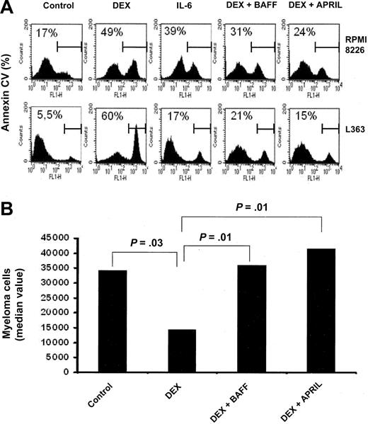 Figure 5. BAFF and APRIL rescue myeloma cells from dexamethasone-induced apoptosis. (A) RPMI 8226 and L363 myeloma cells were cultured in the presence of DEX (10-6 M) with or without IL-6 (3 ng/mL), BAFF (200 ng/mL), or APRIL (200 ng/mL). Cells were recovered after 3 days of culture and apoptotic cells were detected by annexin V staining. Results are those of one experiment of 5. The percentage of apoptotic cells is indicated in each panel. (B) Mononuclear cells from 8 patients with MM were cultured for 4 days in the presence of IL-6 (1 ng/mL) with or without DEX (10-6 M), BAFF (200 ng/mL), or APRIL (200 ng/mL). At day 4 of culture, the viability and total cell counts were assessed and the percentage of CD138+ viable plasma cells was determined by flow cytometry. Results are median values of the numbers of myeloma cells in the culture wells. The values were compared with a Wilcoxon test for pairs.