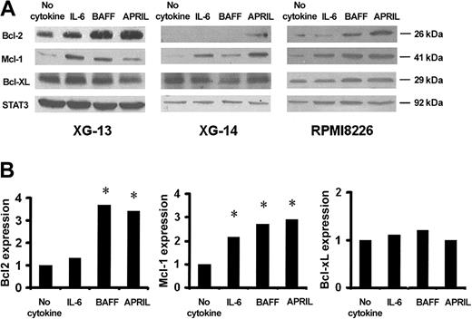 Figure 8. Regulation of Bcl-2 family antiapoptotic proteins by BAFF and APRIL. (A) XG-13, XG-14, and RPMI8226 cells were starved overnight before culture with no cytokine, or with IL-6 (30 ng/mL), BAFF (800 ng/mL), or APRIL (800 ng/mL) for 6 hours in RPMI–1% BSA. At the end of the culture, cells were immediately lysed and assayed for Bcl-2 family antiapoptotic protein expression using Western blot analysis. In this experiment, STAT3 expression was used as loading protein control. (B) Blots of 3 independent experiments were scanned and the values were normalized using STAT3-band intensities as internal standards. Results are the median values for the 3 main Bcl-2 family members expressed in the XG-13 HMCLs starved of IL-6 and cultured for 6 hours with no cytokine, or with IL-6 (30 ng/mL), BAFF (800 ng/mL), or APRIL (800 ng/mL). *Significant increase in expression with a Student t test for pairs (P < .05).