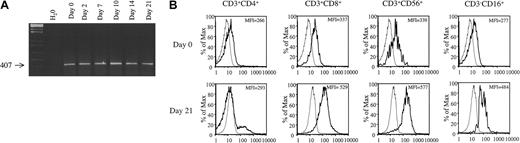 Figure 1. NKG2D expression over time in culture. (A) Cells were isolated at the stated time points and reverse transcription-polymerase chain reaction (RT-PCR) was performed using NKG2D-specific primers. (B) Cells were stained with antibodies and analyzed by FACS analysis as described in “Materials and methods.” Shown are FACS histograms at either day 0 or at day 21 of culture. Dotted histograms represent isotype control antibodies and solid lines NKG2D. Mean fluorescent intensity (MFI) of NKG2D is shown in the upper right of each histogram. Results are representative of 3 or more experiments.