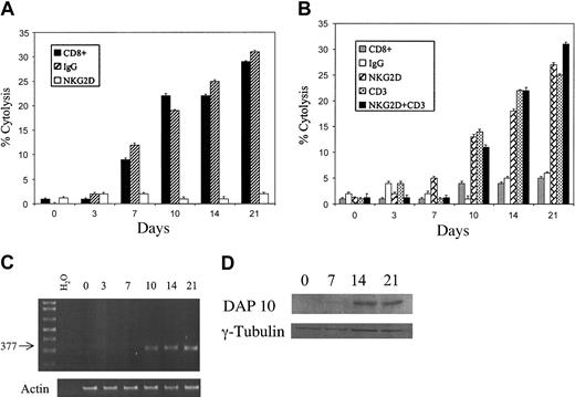 Figure 4. Induction of cytotoxicity and redirected cytolysis correlates with the expression of DAP10. T cells were activated and expanded as described in “Materials and methods.” Cells were pre-enriched using MACS on day 0 and then cultured until 24 to 48 hours prior to use (at various time points in culture days 0, 3, 7, 10, 14, and 21) when they were purified by FACS. Cells were rested for 24 to 48 hours in cRPMI and IL-2 (300 U/mL) and then used for either cytotoxicity assays (A) or redirected cytolysis assays (B), or freshly sorted cells were used to harvest RNA for RT-PCR (C). For cytotoxicity assays (A), targets were the U266 cell line. Either no antibody was used (▪) or isotype control antibody (▨) or anti-NKG2D antibody (□) was added. For redirected cytolysis experiments (B), CD8+ T cells at various times in culture were combined with P815 cells alone (▦) or with P815 cells that were incubated with isotype control antibodies (□), anti-NKG2D (▨), anti-CD3 ( ) or anti-NKG2D and anti-CD3 (▪). For panels A and B, antibodies were used at 20 μg/mL, E/T = 10:1, and error bars indicate standard deviation. For PCR experiments (C), DAP10-specific primers were used and the amplified product was separated on a 0.9% agarose gel. (D) For Western blotting experiments, purified CD8+ cells were isolated at various times in culture and extracts (50 μg) were separated on a 15% acrylamide gel, then transferred to PVDF membranes, and probed using either a DAP10 or γ-tubulin–specific antibody (loading control). Results are representative of 2 or more individual experiments.