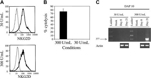 Figure 5. IL-2 dose influences cytotoxicity and DAP10 expression but has no effect on NKG2D cell surface expression. Cells were isolated from donors as described in “Materials and methods” and divided into 2 separate fractions that were treated identically except that one received high doses of IL-2 (300 U/mL) and the other low-dose IL-2 (30 U/mL). (A) FACS analysis shows no difference in NKG2D expression on CD3+CD8+ cells at IL-2 doses of either 30 or 300 U/mL. Dotted histograms represent isotype control antibodies and solid lines NKG2D. (B) Cytolysis against 721-221 cells (E/T = 10:1) demonstrates no cytolysis of targets when cells were cultured with 30 U/mL IL-2, but significant cytolysis when cultured in 300 U/mL. (C) Expression of DAP10 by RT-PCR was detected in cells that were cultured in high (300 U/mL) but not low doses of IL-2 (30 U/mL). Results are representative of 3 individual experiments.