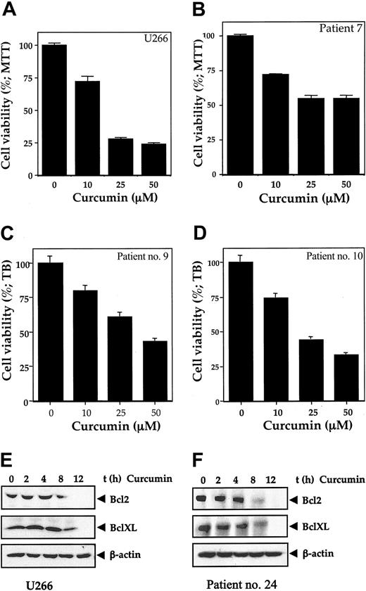 Figure 5. Curcumin activity. Curcumin inhibits the growth/viability of human multiple myeloma cell line U266 and bone marrow CD138+ multiple myeloma cells (A-D). Cell line U266 (A) or enriched CD138+ cells (2 × 104/0.1 mL) from bone marrow aspirates of multiple myeloma patients (nos. 7, 9, and 10) (B-D) were cultured in the absence or presence of the indicated concentrations of curcumin for 24 hours, and cell viability was measured by MTT assay (A-B) or standard trypan blue dye exclusion method (C,D) as described. Curcumin inhibits the expression of Bcl-2 and Bcl-XL proteins in human multiple myeloma cell line U266 (E) and bone marrow CD138+ multiple myeloma cells (F). A total of 2 × 106 U266 cells (E) or CD138+ multiple myeloma cells (F) were treated with curcumin (50 μM) for the indicated times, prepared the cytoplasmic extracts, resolved the 50 μg cytoplasmic extracts on 10% SDS-PAGE gel, electrotransferred on a nitrocellulose membrane, and probed for Bcl-2 and Bcl-XL by Western blot analysis. β-actin was used as a loading control. Values represent the mean ± SD of triplicate cultures.