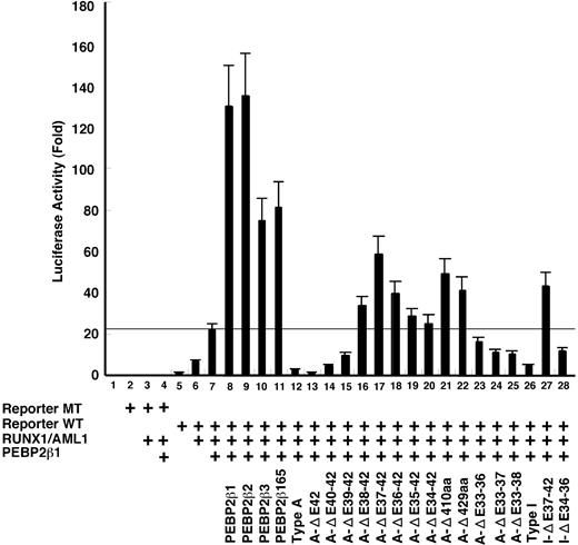 Figure 5. Transcription repression by β/SMMHC. U937 cells were transfected with M-CSF-R-luc plasmid (1 μg) with mutated RUNX binding site (lanes 2-4) or wild-type site (lanes 5-28), together with expression plasmids for RUNX1 (0.5 μg, a full dose) and PEBP2β1 (0.25 μg, a half dose) as indicated. On top of it, a half dose of PEBP2β isoforms or β/SMMHC mutant expression vectors were transfected in such a way as to mimic the conditions of inv(16) cells. A total of 2 μg DNA including 1 ng Renilla luciferase expression plasmid as an internal control was used. Luciferase activities are expressed as fold changes relative to the control transfected with M-CSF-R-luc and the backbone expression vector. The data are mean of 3 independent experiments and the values were normalized using luciferase activities. Standard deviations are indicated by error bars. Horizontal line indicates the level of transactivation attained by a full dose of RUNX1 and a half dose of PEBP2β1. Above this line is considered to be transcription stimulation by each construct and below the line, repression.