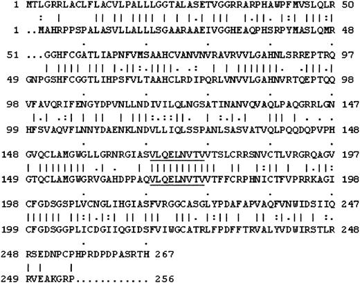 Figure 5. Amino acid homology between HNE and PRO3. Top rows are PRO3, and bottom rows are HNE. I indicates identity; a colon (:) indicates 2; and a period (.) indicates 1; all are match display threshold by Gap-Global Alignment. PR1 sequence is underlined.