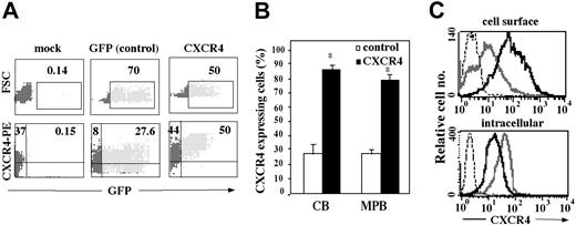 Figure 2. Cell surface CXCR4 expression on lentiviral-transduced CD34+ ,cells. Following mock or lentiviral infection, CB and MPB CD34+ cells were analyzed by flow cytometry for either GFP expression alone or GFP together with CXCR4 expression using an anti-hCXCR4–PE antibody. Quadrants were set according to isotype-matched negative controls and mock-infected cells. (A) Data show a representative FACS analysis from CB CD34+ cells. Numbers indicate percent of total CD34+ cells. (B) Results indicate percentage of CB and MPB CD34+ cells expressing CXCR4 and represent mean ± SE of 7 independent experiments. *P < .01 compared to control GFP-infected cells. (C) Immunofluorescence detection of cell surface (top panel) and intracellular (bottom panel) CXCR4 expression of GFP-transduced (gray line), CXCR4-transduced (black line), or isotype control (dotted line) cells.