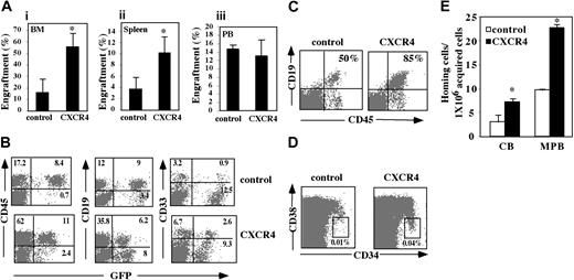Figure 6. In vivo multilineage reconstitution and GFP expression of CXCR4-overexpressing SRCs. CXCR4-transduced CB CD34+ cells were injected into sublethally irradiated NOD/SCID mice. Five weeks after transplantation mice were examined for the presence of repopulating human cells when compared to control GFP-transduced cells. (A) Murine BM (i), spleen (ii), and peripheral blood (PB; iii) were analyzed for human cell engraftment by FACS analysis of % of human CD45+ cells. Bars represent mean ± SE of 9 independent experiments performed in duplicate or triplicate. *P < .005 compared to control GFP-transduced cells. (B) Lymphoid and myeloid differentiation of human SRCs in a representative NOD/SCID transplant recipient is shown by CD19 and CD33 antibody staining, respectively. Numbers indicate percent of positive cells of total live population. (C) BM cells were stained for the human-specific pan leukocyte marker CD45 and the B-cell lineage differentiation marker CD19 and analyzed by FACS. Numbers indicate percentage of CD19 cells calculated from total CD45 population. Data show a representative experiment. (D) BM cells were stained with human-specific anti-CD34 and anti-CD38 mAbs and analyzed by flow cytometry. Numbers indicate percentage of CD34+/38-/low cells. Data show a representative experiment. (E) Homing of cells to the spleen was determined 16 hours (MPB) or 2 hours (CB) after transplantation by staining with human-specific anti-CD34 and anti-CD38 mAbs. Bars represent mean ± SE of 3 independent experiments performed in duplicate. *P < .05 compared to control cells.