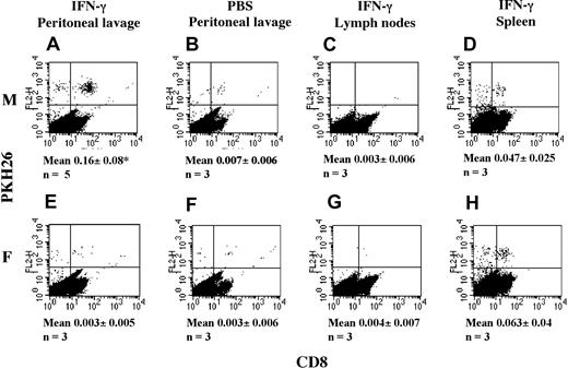 Figure 3. Detection of T cells in the peritoneal lavage. The presence of T cells in the peritoneal lavage is detectable IFN-γ–treated male, but not female, mice. Male and female C57/BL6 mice were injected intraperitoneally with 600 U IFN-γ or PBS. Two days later, mice received an intravenous (IV) injection of 107 PKH26-labeled HY-specific T cells. The following day, mice were killed, and the presence of fluorescently labeled cells in the peritoneal lavage (A-B,E-F) and lymph nodes (from IFN-γ–treated mice; C,G) and spleen (from IFN-γ–treated mice; D,H) was assessed by flow cytometry. To facilitate visualization, cells were double stained with a FITC-conjugated anti-CD8 antibody. The mean and SD of the percentage of labeled cells recovered from the peritoneal lavage of at least 3 animals (n) are shown under the relevant panels. *P is significant versus female mice (P < .02).