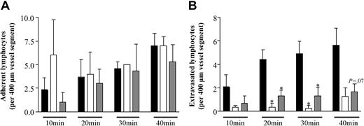 Figure 4. Cognate recognition of ECs enhances antigen-specific T-cell diapedesis in vivo. Cognate recognition of endothelial cells enhances antigen-specific T-cell diapedesis in vivo. Male C57BL/6 (H2b; ▪), congenic male B10.BR (H2k, ▦), or BALB/C and CBA/Ca (H2d, H2k; □) mice were treated with intrascrotal administration of IFN-γ (600 U in 400 μL saline). After 72 hours, fluorescently labeled HY-specific T cells (“Materials and methods”) were injected intravenously after surgical exteriorization of the cremaster muscle and T-cell interactions with venular walls were visualized and quantified by intravital microscopy for up to 40 minutes after injection of the cells (“Materials and methods”). Results are from 3 to 5 mice per group, and significant differences between the H2b in comparison with the H2k and H2d or the H2-congenic H2k strains of mice are shown by asterisk (*P < .05). (A) T-cell firm adhesion. (B) Extravasation.
