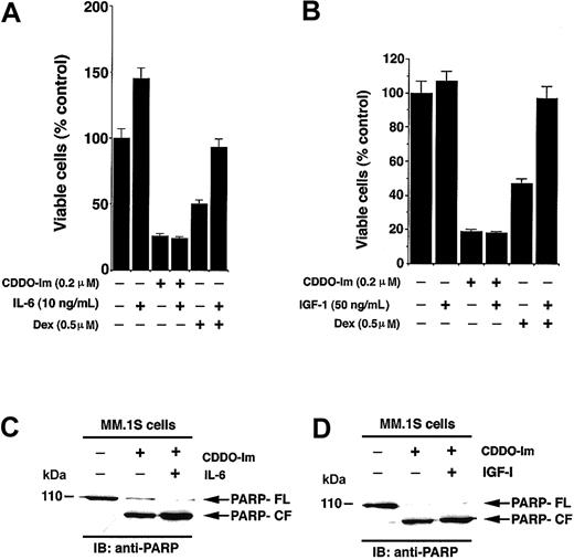 Figure 3. Interleukin-6 (IL-6) or insulin growth factor-1 (IGF-1) does not block CDDO-Im–induced cytotoxicity in MM cells. (A) MM.1S cells were treated with CDDO-Im (200 nM) or Dex (0.5 μM) in the presence or absence of IL-6 (10 ng/mL). At 24 hours cells were harvested and viability analyzed by MTT assays. Results are mean ± SD of 3 independent experiments (P < .005). (B) MM.1S cells were treated with CDDO-Im (200 nM) or Dex (0.5 μM) in the presence or absence of IGF-1 (50 ng/mL). At 24 hours cells were harvested and viability analyzed by MTT assays. Results are mean ± SD of 3 independent experiments (P < .005). (C-D) MM.1S cells were treated with CDDO-Im (200 nM) in the presence or absence of IL-6 (C) or IGF-1 (D). At 24 hours cells were harvested, and total protein lysates were subjected to SDS-PAGE analysis. Immunoblot analysis of the lysates was performed with anti-PARP Abs. FL indicates full length, and CF denotes cleaved fragment.