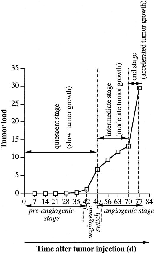 Figure 1. Evolution of the tumor load during 5T2MM disease progression. Naive mice were injected with 5T2MM cells, and each week 3 animals were killed until all remaining mice were terminally diseased. BMNCs were isolated, and the tumor load (total MM population in the BM) was assessed by flow cytometric staining and analysis for 5T2MM idiotype-positive cells, as described previously.33 Each point represents mean value of 3 mice. The different growth stages and corresponding angiogenic phases are indicated.