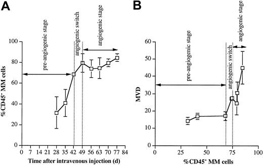 Figure 4. CD45- cell evolution. (A) Evolution of percentage CD45- 5T2MM cells during disease progression. MM cells were detectable above background levels by flow cytometry 4 weeks after tumor injection and were phenotyped for CD45 expression. Percentages of CD45- MM cells in the total myeloma population are shown. Each point represents mean value of 3 mice ± SD. (B) Evolution of the MVD in function of percentage CD45- 5T2MM cells. MVD represents the number of blood vessels per 0.20 mm2. Percentages of CD45- MM cells in the total myeloma population are shown. Each point represents mean value of 3 animals ± SD.