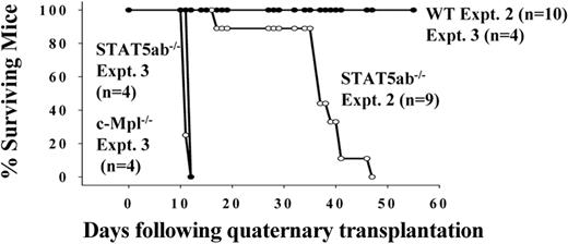Figure 7. Analysis of survival of HW80 hosts from experiments 2 and 3 receiving transplants of wild-type, STAT5ab-/-, or c-Mpl-/- BM cells. For quaternary transplantations resulting from experiments 2 and 3, the survival of mice was not 100%. Shown are the results of daily monitoring of survival for mice from the quaternary transplantations. The percentage of survival (y-axis) is plotted against the number of days since injection into lethally irradiated quaternary hosts.