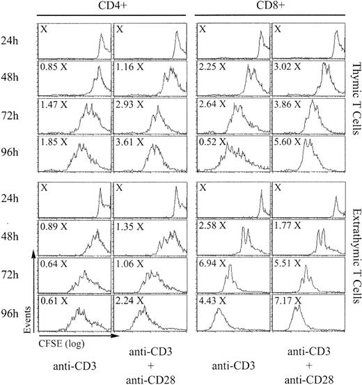 Figure 1. In vitro proliferation of T lymphocytes of thymic versus extrathymic origin. Spleen T cells from B6 mice (thymic T cells) and from irradiated adult-thymectomized B6.SJL (Ly5.1) hosts reconstituted with LckOM fetal liver cells (Ly5.2; extrathymic T cells) were labeled with CFSE and stimulated with anti-CD3 with or without anti-CD28. After culturing for 24 to 96 hours, cells were labeled with 7-AAD to exclude dead cells and stained with antibodies against CD4, CD8, Ly5.1, and Ly5.2. Total cell numbers are expressed as a function of X, which represents the number of cells per well at 24 hours (before the beginning of cell division). This is one representative experiment of 5 (Table 1).