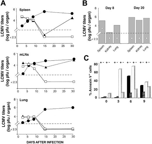 Figure 4. Clearance of LCMV-ARM and LCMV-WE by thymus-derived and extrathymic T cells. (A) Mean virus titers (log pfu/organ) in the spleen, mLNs, and lung of B6 mice (□), OM → RAG1-/- chimeras (▴), and RAG1-/- mice (•) following LCMV-ARM infection. There were 3 mice per group. (B) Mean virus titers (log pfu/organ) in mice infected with LCMV-WE. Spleen, kidney, and lung of B6 mice (○) and OM → RAG1-/- chimeras (▦) were harvested on days 8 and 20 after infection. Two to 3 mice were in each group. In panels A and B, dotted lines indicate the detection limit of the immunologic focus assay. (C) Apoptosis of splenic CD8 T cells following LCMV-ARM infection. Histogram bars show the mean proportion of annexin V+ elements among GP33 tetramer-positive (+) and tetramer-negative (-) CD8 T cells in B6 mice (black and dark gray bars) and OM → RAG1-/- chimeras (white and light gray bars); 3 to 4 mice per group.