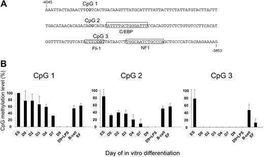 Figure 5. CpGs at the -3.9 kb enhancer are demethylated with different kinetics during in vitro differentiation. Genomic DNA prepared from ES cells, freshly prepared mouse embryonic fibroblasts (EFs), and purified B cells from transgenic mice as well as from cells undergoing differentiation, was subjected to quantitative bisulfite sequencing as outlined in “Materials and methods.” (A) Sequence of the -3.9 kb enhancer and position of CpGs. (B) CpG methylation level in the different cells as indicated.