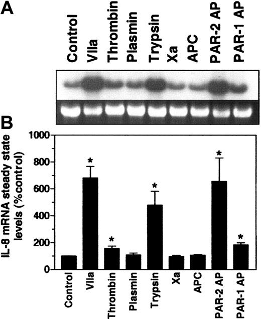 Figure 2. Effect of FVIIa and other agonists on the induction of IL-8 mRNA. Quiescent monolayers of MDA-MB-231 cells were treated with FVIIa (50 nM), thrombin (10 nM), plasmin (50 nM), trypsin (50 nM), FXa (50 nM), APC (50 nM), PAR-2–specific peptide agonist SLIGKV (25 μM) and PAR-1–specific peptide agonist TFLLRN (25 μM) for 75 minutes. Total RNA was analyzed for IL-8 expression by Northern blot analysis. (A) Representative autoradiograph. (B) Quantitative data (mean ± SEM, n = 4 to 7). *Value significantly higher (P < .05) than the control value.