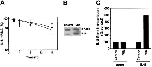 Figure 6. Effect of FVIIa on IL-8 mRNA stability and gene transcription. (A) MDA-MB-231 cells were first treated with a control vehicle or FVIIa (50 nM) for 75 minutes. Then 10 μg/mL actinomycin D was added to inhibit RNA synthesis. Total RNA was harvested at indicated times after the addition of actinomycin D and was subjected to Northern blot analysis using IL-8 probe. IL-8 mRNA levels measured 10 minutes after the addition of actinomycin D were taken as 100% (mean ± SEM, n = 3). (B) Nuclei were isolated from unstimulated MDA-MB-231 cells or cells stimulated with FVIIa (50 nM) for 1 hour. Two identical blots containing β-actin and IL-8 DNAs were hybridized with equal amounts of labeled transcripts of nuclear RNA. (C) Quantitative representation of the data shown in panel B (mean values of 2 experiments).