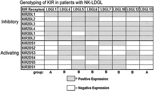 Figure 2. Genotyping of KIR DNA in patients with NK-LDGL. DNA was amplified for KIR2DL1, KIR2DL2, KIR2DL3, KIR2DL4, KIR3DL1, and KIR3DL2 (inhibitory) or KIR2DS1, KIR2DS2, KIR2DS3, KIR2DS4, KIR2DS5, and KIR3DS1 (activating). The data are summarized for 8 patients with NK-LDGL. Group A haplotype indicates one activating receptor (KIR2DS4); group B haplotype, multiple activating KIR.