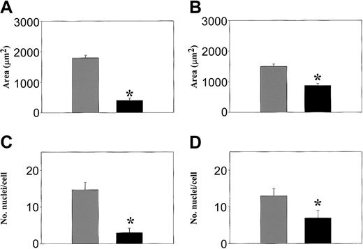 Figure 9. Reconstitution of normal cell size and number of nuclei of WASp-/- transduced with eGFP-WASp. The area of spreading (A, B) and the number of nuclei per cell (C, D) were quantified in WASp-null osteoclasts expressing eGFP (WASp-/-eGFP, ▦) or eGFP-WASp (WASp-/-eGFP-WASp, ▪) derived on glass coverslips (A, C) or bone slices (B, D). Cells were fixed and stained with Alexa 468-conjugated phalloidin and propidium iodide. Graphs express the mean ± SEM values from 3 experiments. *P < .05 (Student t test).