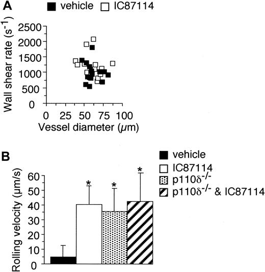 Figure 2. The effect of IC87114 on rolling velocities of neutrophils and wall shear rate in vivo. (A) The impact of IC87114 on blood flow as a function of vessel diameter. (B) Mean rolling velocities for consecutive interacting cells (n = 20 per venule, 3 venules per animal for each experimental condition tested) in the absence or presence of inhibitor, or in p110δ-/- mice. *P < .01 versus control. Data represent the mean ± SD for 200 or more cells per experimental condition.