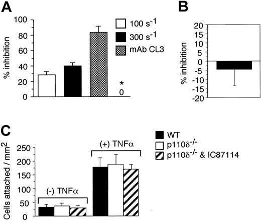 Figure 4. The role of PI3Kδ in supporting neutrophil-endothelial cell interactions in vivo. (A) Percent reduction in neutrophil accumulation on HUVECs pretreated with IC87114 (2 μM) one hour prior to stimulation with TNFα. Results are expressed as the percentage of cells that bound to vehicle (0.3% DMSO)-treated endothelial cell substrate at wall shear rates of 100 and 300 s-1. The requirement for E-selectin is demonstrated by the ability of the function-blocking mAb CL3 to inhibit neutrophil attachment to cytokine-stimulated endothelium at a wall shear rate of 300 s-1. TNFα-stimulated HUVEC substrate was also incubated with IC87114 (2 μM for 15 minutes) to assess the ability of IC87114 to directly inhibit selectin-ligand interactions (*). All data represent the mean ± SD of 3 sets of experiments performed in duplicate. (B) Percent inhibition in attachment of human neutrophils that were pretreated with IC87114 (2 μM) to TNFα-activated HUVECs at a wall shear rate of 300 s-1. Results are expressed as the percentage of vehicle (0.3% DMSO)-treated cells that bound to cytokine-stimulated endothelium. (C) Attachment of WT versus p110δ-deficient neutrophils (with and without prior incubation with IC87114) to resting or TNFα-activated bend3.1 cells at a wall shear rate of 100 s-1. Results (A-C) represent the mean ± SD for 3 experiments performed in triplicate.