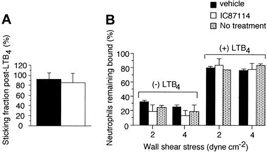 Figure 5. The effect of the PI3Kδ selective inhibitor on integrin-mediated firm adhesion of neutrophils. (A) Percentage of rolling cells that became stationary for more than 30 seconds upon LTB4 superfusion of CM in vehicle- versus IC87114-treated mice. Results are from 5 experiments for each condition tested. (B) Detachment in flow of resting versus LTB4-activated neutrophils incubated in stasis on CHO cells expressing ICAM-1 at the indicated wall shear stresses in the absence or presence of vehicle control (0.3% DMSO) or IC87114. Mean ± SD for 2 experiments performed in triplicate.