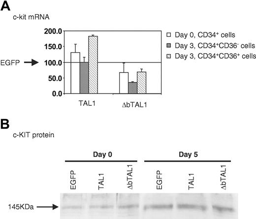Figure 4. c-kit gene expression in human hematopoietic cells transduced with the TRIP vectors. (A) Quantitative measurement of c-kit mRNA levels in CD34+ cells after transduction (day 0, CD34+ cells) and in transduced CD34+CD36+/- cells sorted after 3 days of serum-free culture in the presence of SCF, IL-3, and IL-6. Results of TRIP-TAL1/ΔbTAL1-transduced cells are expressed as a proportion of the results obtained with the EGFP+ cells. Each measurement was made 3 times. (B) c-KIT protein levels in human hematopoietic cells recovered after transduction (day 0; all cells are CD34+) and 5 days after the end of the transduction, following a culture period in conditions described in “Materials and methods.” Blot was reprobed with the anti-c-KIT Ab (clone C19, TEBU) after a first probing with the 2TL136 anti-TAL1 Ab (Figure 1D). All data are representative of 2 experiments.