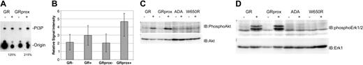 Figure 5. Gab2 dissociation from PI3-kinase biochemical markers, Akt, and ERK. (A) In vitro assay for G-CSF-stimulated PI3-kinase activity in cells expressing either wild-type G-CSFR or GRprox. This picture demonstrates greater PI3-kinase activity in G-CSF-treated GRprox than GR cells (215% versus 125%) and represents 1 of 3 independent experiments. (B) Three independent experiments were performed, and the in vitro kinase activity was quantitated by densitometry by means of a Kodak (Rochester, NY) 1000 Image Station and software. The average and standard error in the relative signal intensity are shown. (C) G-CSF-stimulated Akt serine phosphorylation in wild-type, GRprox cells, and 2 loss-of-function mutants: ADA and W650R. (D) Western blot for phospho-ERK in the same cell lines. Cell lysates were first probed with anti-phospho-ERK1/2 antibody (Cell Signaling); then the blot was stripped and probed with anti-ERK1 antibody (Santa Cruz Biotechnology) to demonstrate comparable levels of ERK protein.