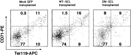 Figure 7. Perturbed erythropoiesis in bone marrow of recipients of transplanted DN SCL-transduced HSCs. FACS analysis of single-cell suspensions of GFP+-gated bone marrow cells immunostained with Ter119 and CD71 antibodies is shown. Numbers in quadrants represent the ratio of cells in the respective quadrants.