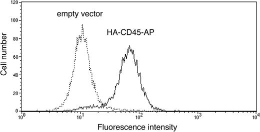 Figure 3. Expression of transfected HA-CD45-AP on the surface of ALST-1 cells. ALST-1 cells stably transfected with either HA-CD45-AP (solid line) or empty vector (dotted line) were stained with FITC-conjugated anti-HA antibody and analyzed by flow cytometry.