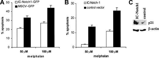 Figure 5. Effect of Notch-1 overexpression on p21 accumulation and drug resistance. Overexpression of Notch-1 results in accumulation of p21 and drug resistance of myeloma cells. (A) U266 cells were infected with retroviruses containing either pMSCV-IC-Notch-1-GFP construct or control vector pMSCV-IRES-GFP. At 24 hours later, cells were exposed to melphalan or vehicle control for an additional 24 hours. Apoptosis was measured by annexin V-binding assay within the population of GFP+ cells. The level of spontaneous apoptosis in cells treated with vehicle alone was subtracted. Two experiments with the same results were performed. (B) U266 cells were electroporated with pcDNA3.1-IC-Notch-1 or control pcDNA3.1 plasmid. At 24 hours later, dead cells were eliminated by gradient centrifugation. Apoptosis was measured in the total cell population by annexin V staining. Two experiments with the same results were performed. Error bars indicate standard deviation. (C) U266 cells were transfected with IC-Notch-1 as described for panel B, dead cells were removed, and cells were cultured for an additional 24 hours. After that time, cells were collected and lyzed, and p21 expression was analyzed by Western blotting.