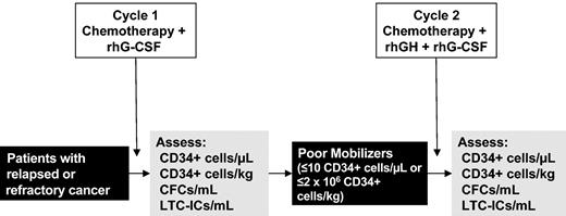 Figure 1. Study design. Schematic representation of the study. Details on treatment and cytokine dosages are reported in “Patients, materials, and methods.”