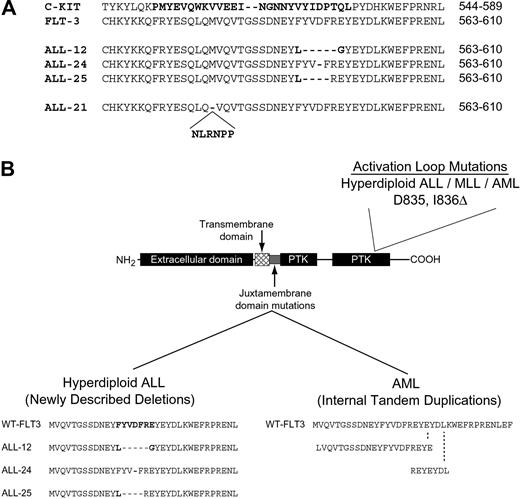 Figure 1. FLT3 mutations found in the juxtamembrane region and activation loop in ALL and AML. (A) An alignment of the juxtamembrane regions encompassing amino acids 563-610 of FLT3 and 544-589 of c-KIT is shown. The region of mutation of c-KIT in GIST is in bold as are the 4 FLT3 mutations found in ALL samples 12, 24, 21, and 25. (B) The different FLT3 mutations found in AML and ALL are shown. Internal tandem duplications (FLT3-ITDs) in the juxtamembrane region have been described in AML.2,3 Two FLT3-ITDs are shown as examples. Deletions in the juxtamembrane region are found in ALL. Activation loop mutations are found in ALL, AML, and MLL.4,6