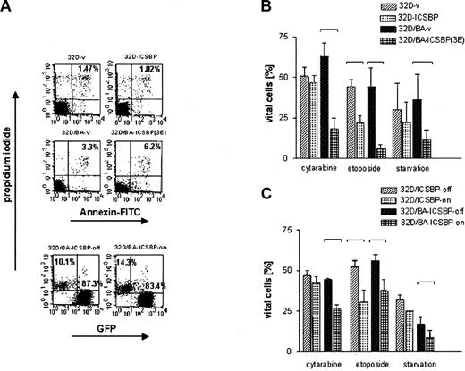 Figure 5. Assessment of apoptosis of 32D cells and BCR/ABL-transformed 32D cells permanently or inducibly expressing ICSBP. Apoptosis was determined by examining the uptake of annexin V-FITC and PI. Percentage of cells appearing as annexin- and PI-negative (annexin-/PI-) were counted as viable, whereas dead cells were defined as either annexin+/PI- (apoptotic), or annexin+/PI+ (necrotic). In the case of 32D/BA-ICSBP on/off cells, only PI+ cells could be counted as dead and PI- as vital, because these cells contained green fluorescent protein (GFP), which excluded the possibility of evaluation of annexin V-FITC staining. (A) Percentage of dead cells under nonlimiting culture conditions is indicated in the right upper quadrants. (B) Percentage of viable cells of ICSBP+ and ICSBP-stable cell lines cells after 18 hours of starvation without IL-3 (BA- cells) versus 36 hours of serum withdrawal (BA+ cells) or exposure to indicated chemotherapeutic drugs (24 hours versus 48 hours for BA- versus BA+ cells, respectively). (C) Percentage of viable cells of ICSBP-inducible cell lines (ICSBP off versus on) after 18 hours of starvation without IL-3 (BA- cells) versus 36 hours of serum withdrawal (BA+ cells) or exposure to indicated chemotherapeutic drugs (24 hours versus 48 hours for BA- versus BA+ cells, respectively). Bars represent mean values ± SEM of at least 3 independent experiments. Statistically significant differences in the apoptosis rates of cell line pairs were marked with brackets.