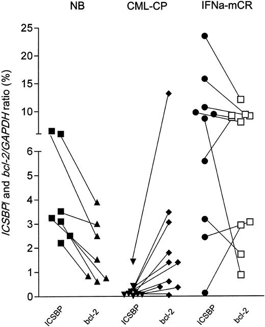 Figure 9. ICSBP and bcl-2 expression in healthy donors and patients with CML. The expression levels of ICSBP and bcl-2 of each healthy donor or patient with CML was quantitated from peripheral blood cDNA by quantitative PCR and is outlined in the percentage of normalized to GAPDH. ICSBP and bcl-2 transcript levels are depicted by black (ICSBP) or open (bcl-2) symbols. Sample-specific expression pairs are indicated by connecting lines. NB (healthy donors, n = 7), CML-CP (chronic phase CML, untreated, n = 10), IFNα mcR (major cytogenetic responders with < 35% Ph-positive cells in bone marrow, n = 10).